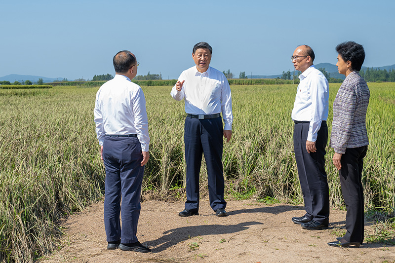 9月6日至8日，中共中央總書記、國家主席、中央軍委主席習(xí)近平在黑龍江考察。這是7日上午，習(xí)近平在遭受洪澇災(zāi)害的哈爾濱尚志市老街基鄉(xiāng)龍王廟村，察看水稻受災(zāi)情況。